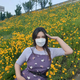 Dohwa