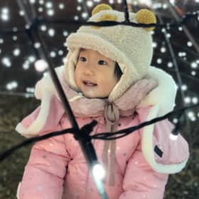 또또마미이