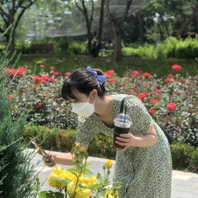 김현정528