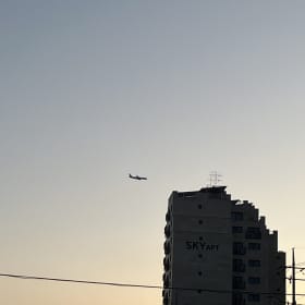 피자빵