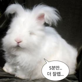 아리따운무지개떡