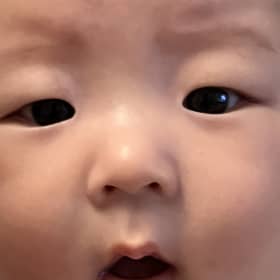 최찡