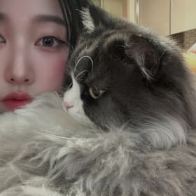 아야
