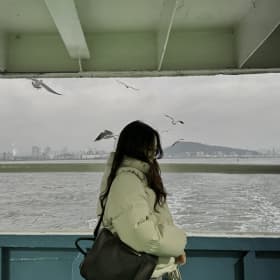 트리뷰어