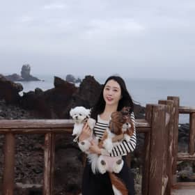 초코하임