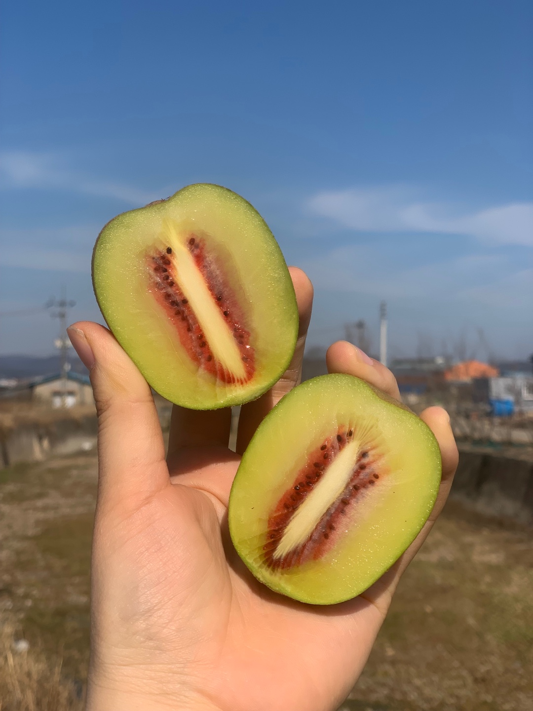 캠페인 썸네일
