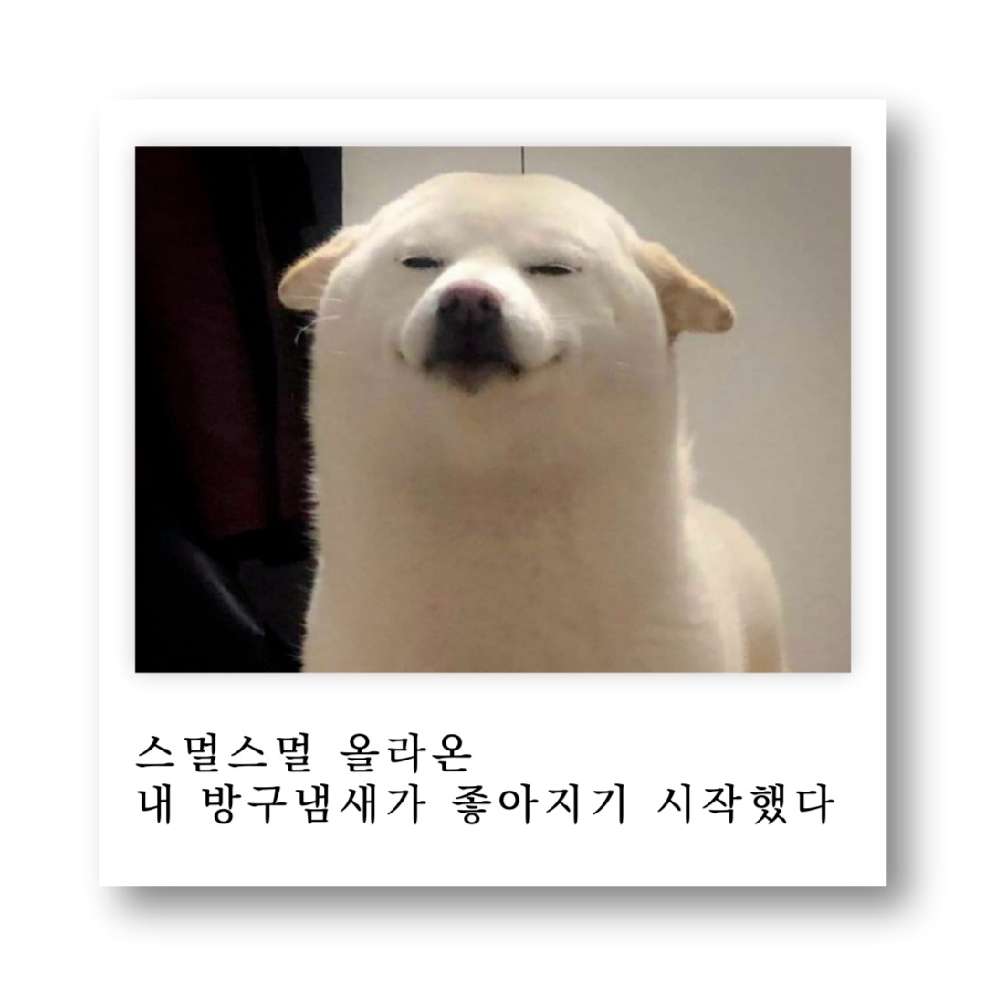 캠페인 썸네일