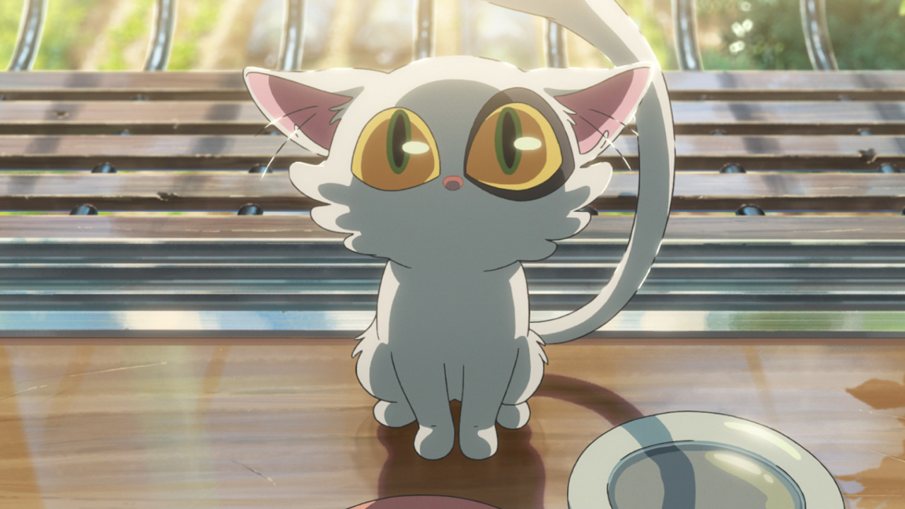 캠페인 썸네일