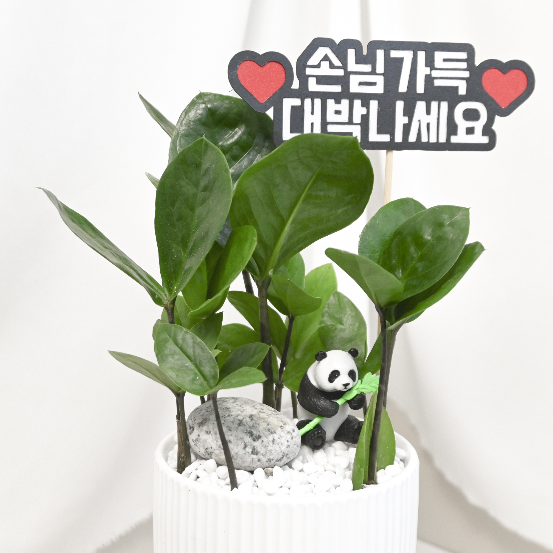 캠페인 썸네일