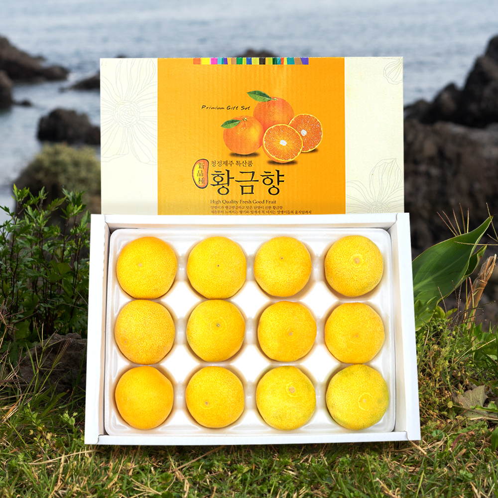캠페인 썸네일