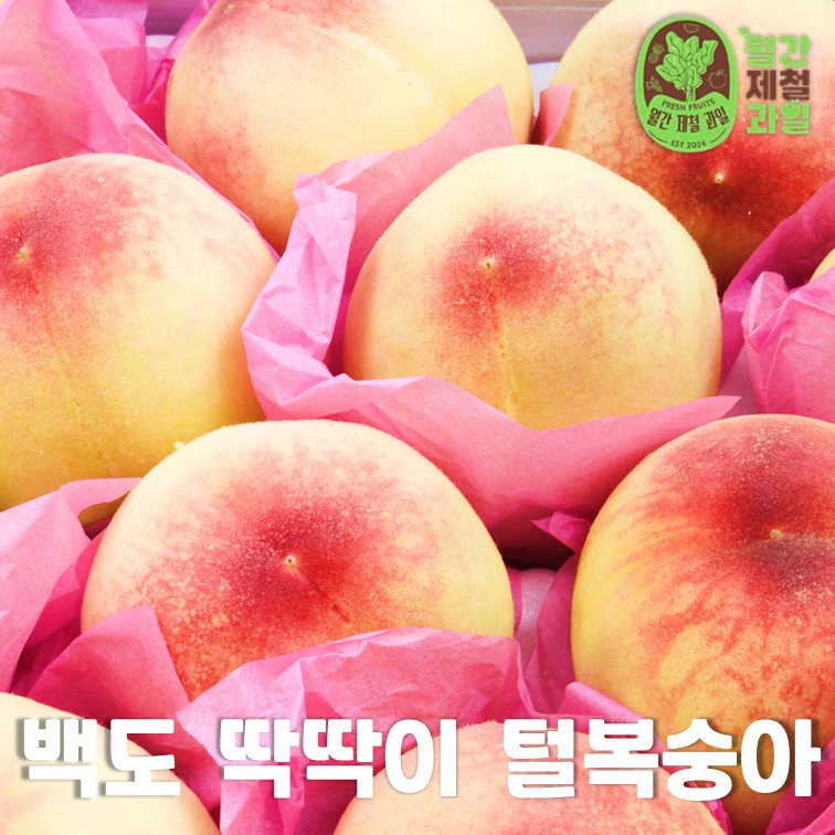 캠페인 썸네일