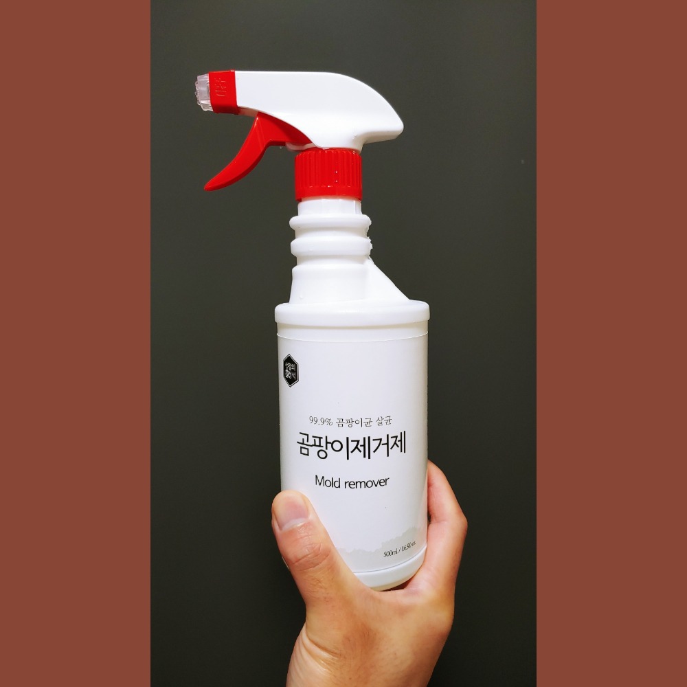 캠페인 썸네일