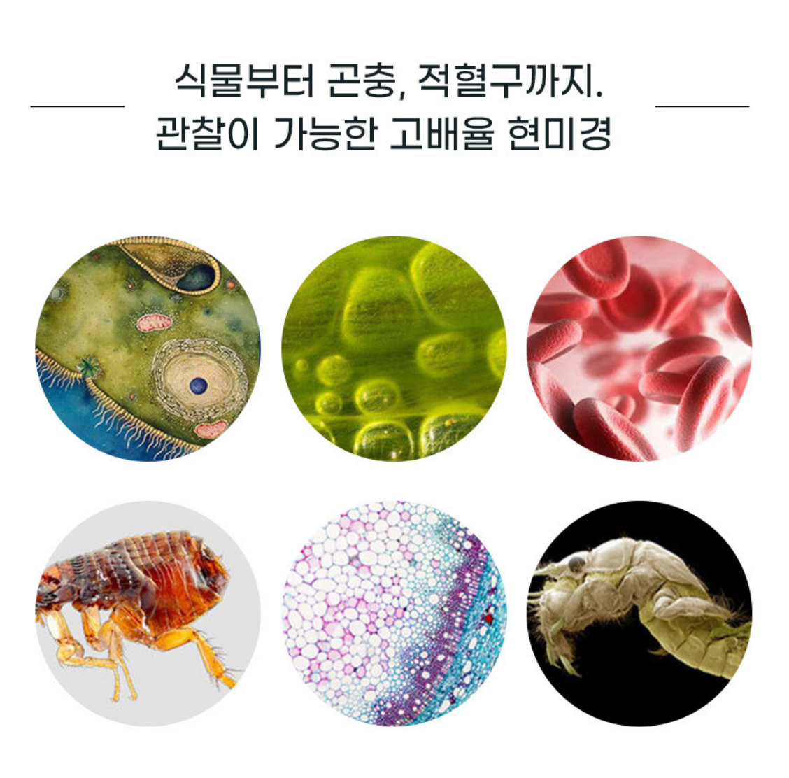 캠페인 썸네일