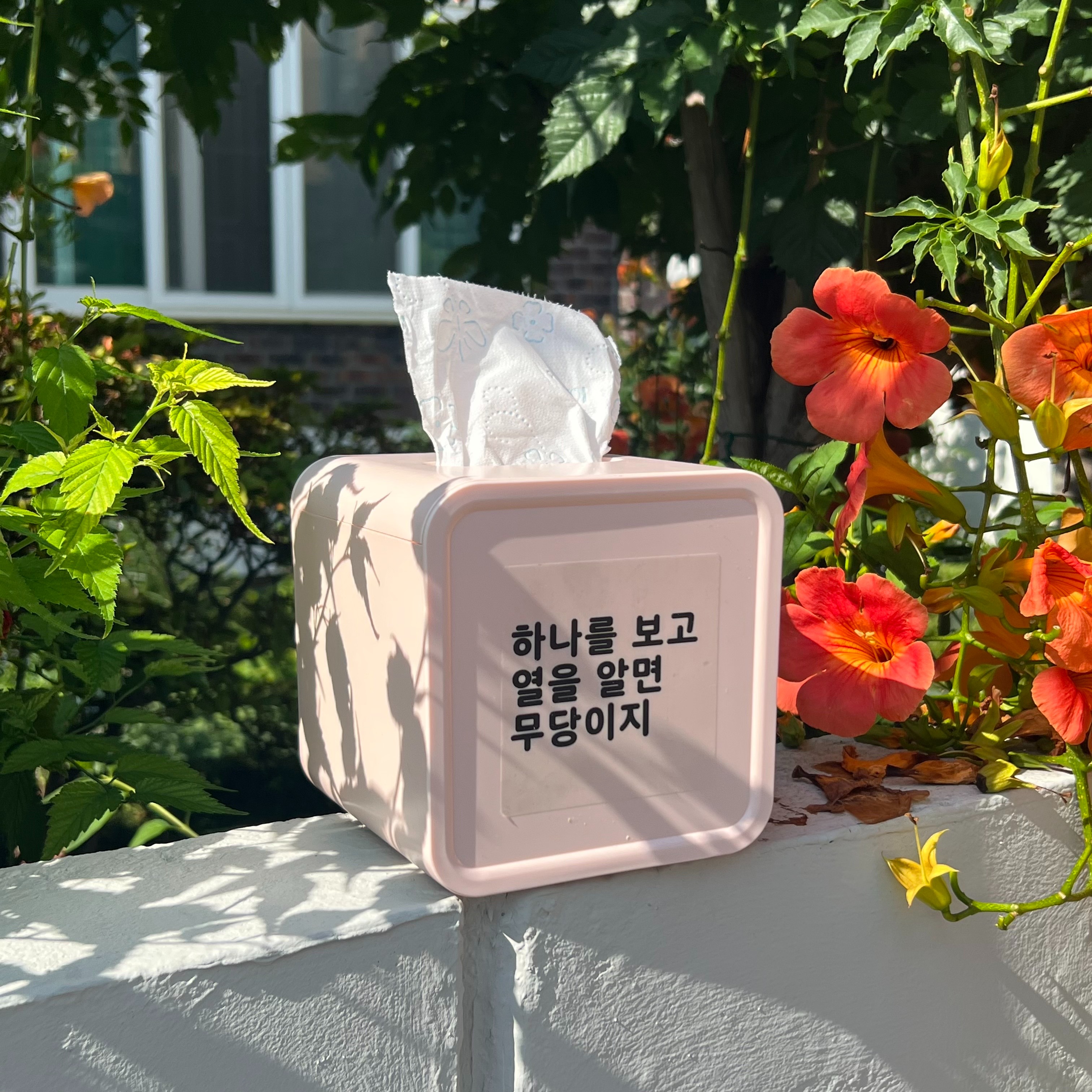 캠페인 썸네일