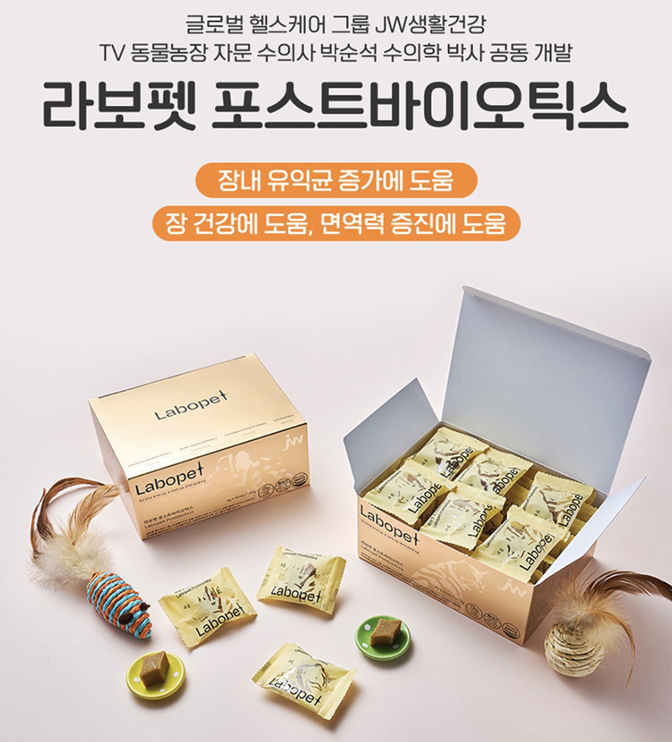 캠페인 썸네일