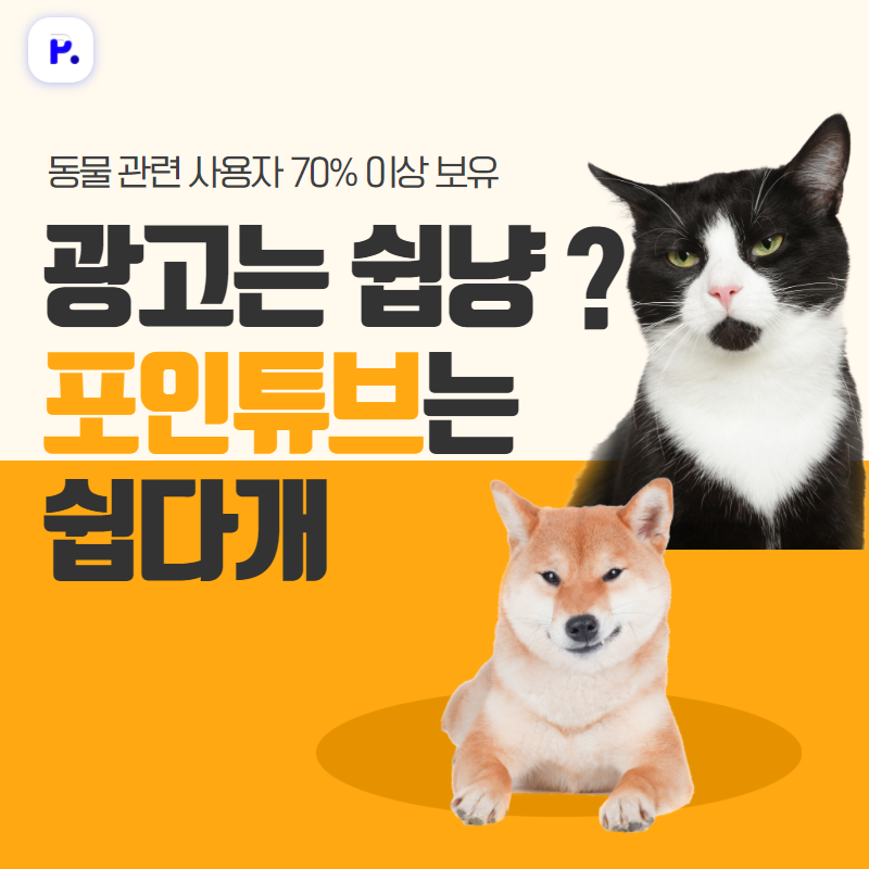 캠페인 썸네일