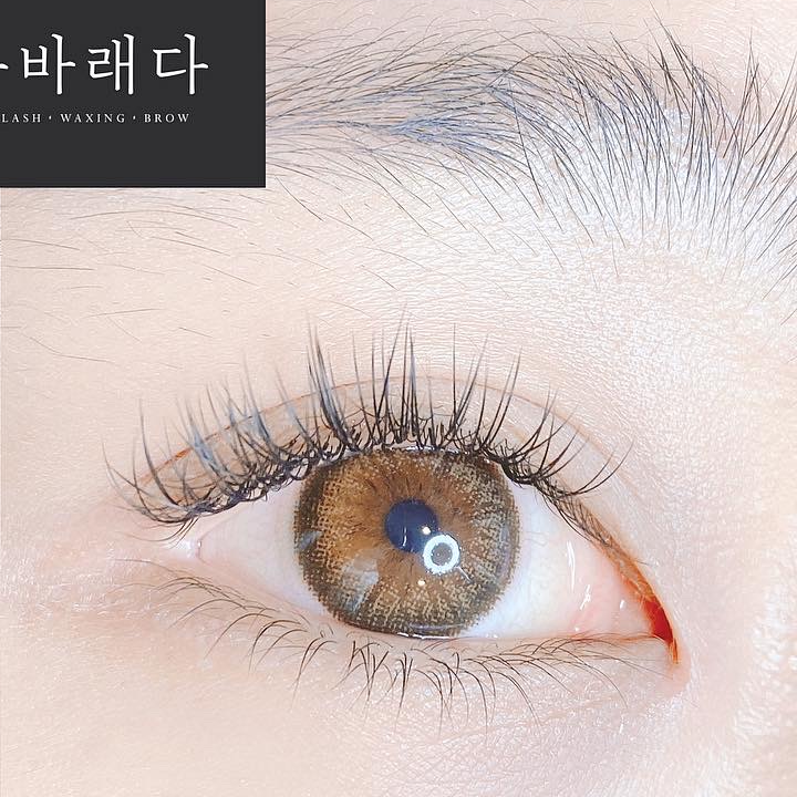 캠페인 썸네일