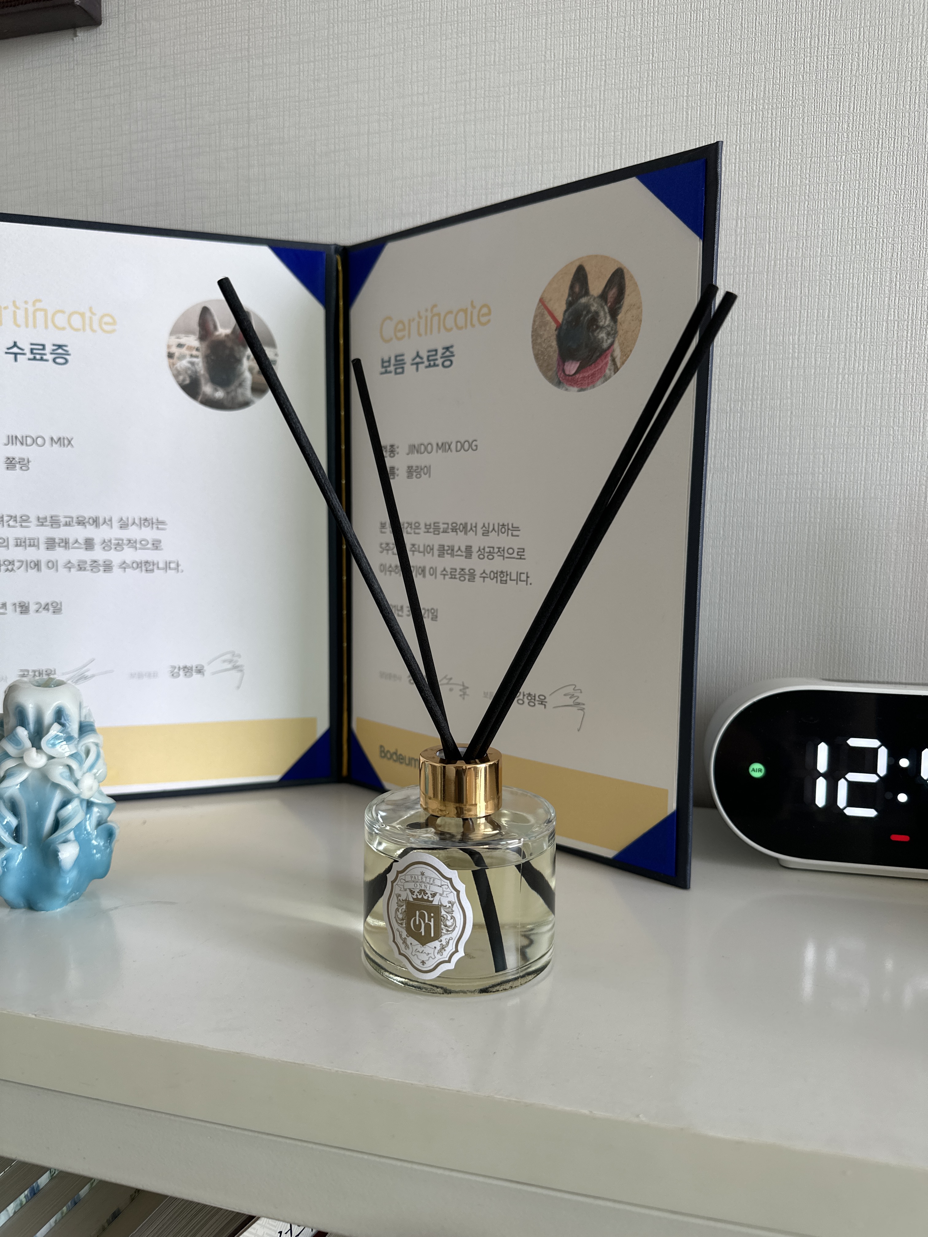 캠페인 썸네일