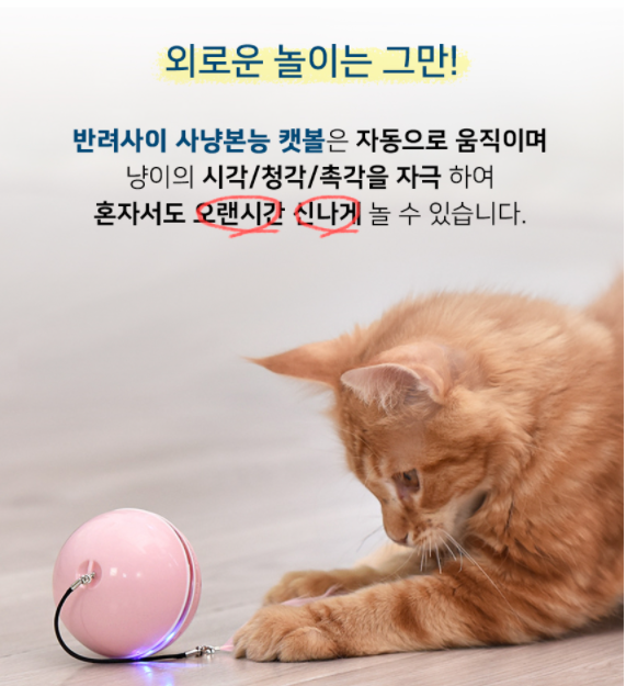 캠페인 썸네일
