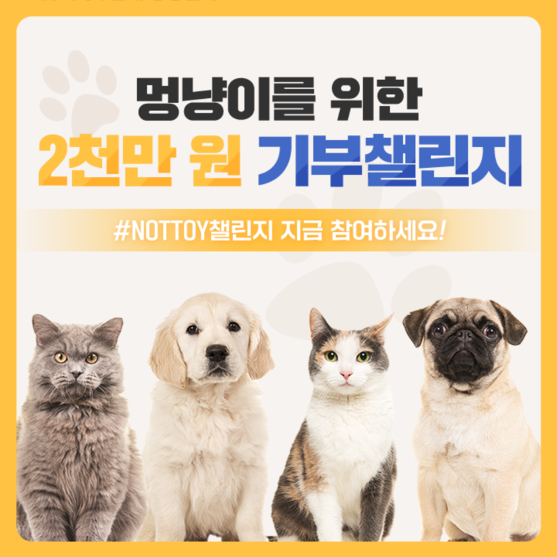캠페인 썸네일