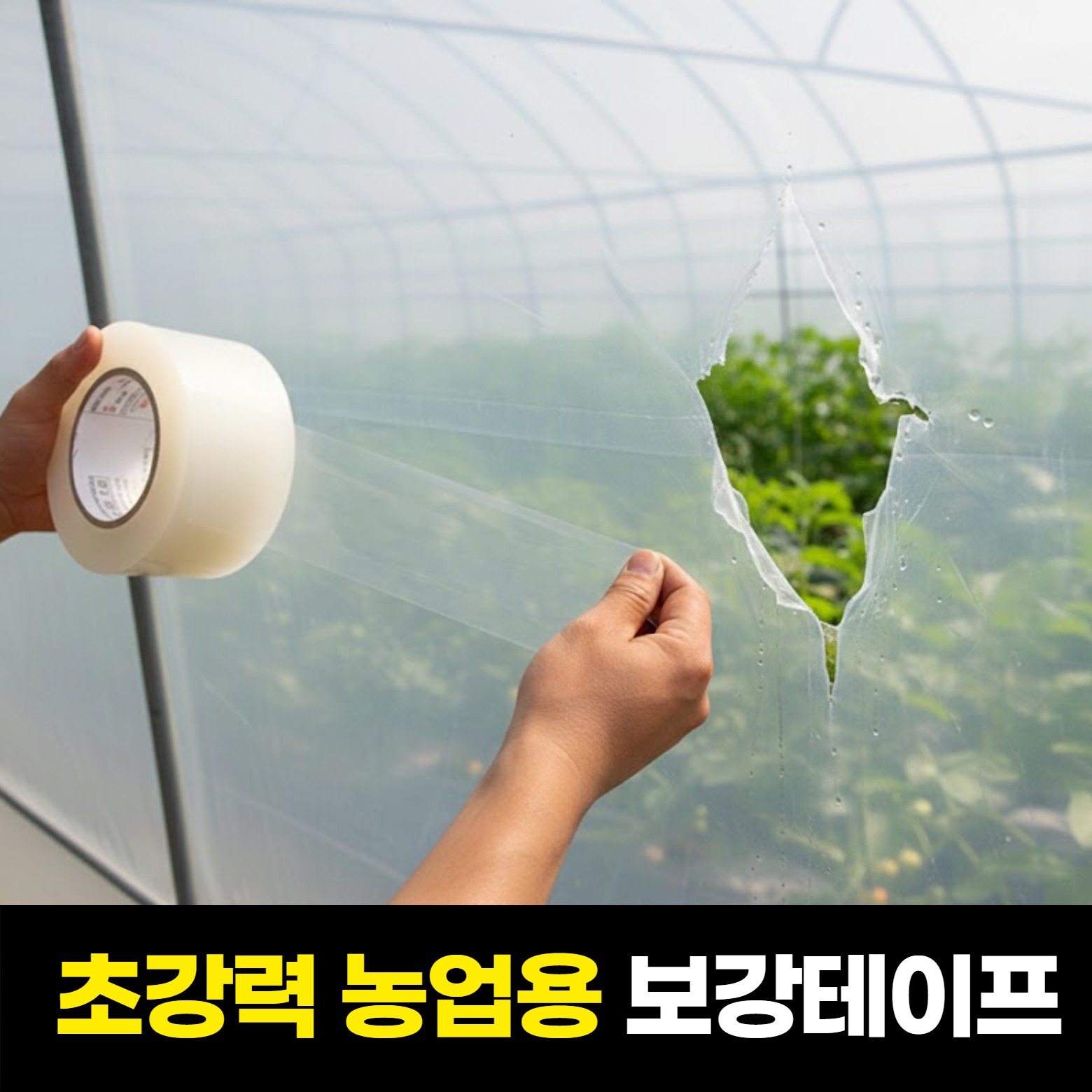 캠페인 썸네일