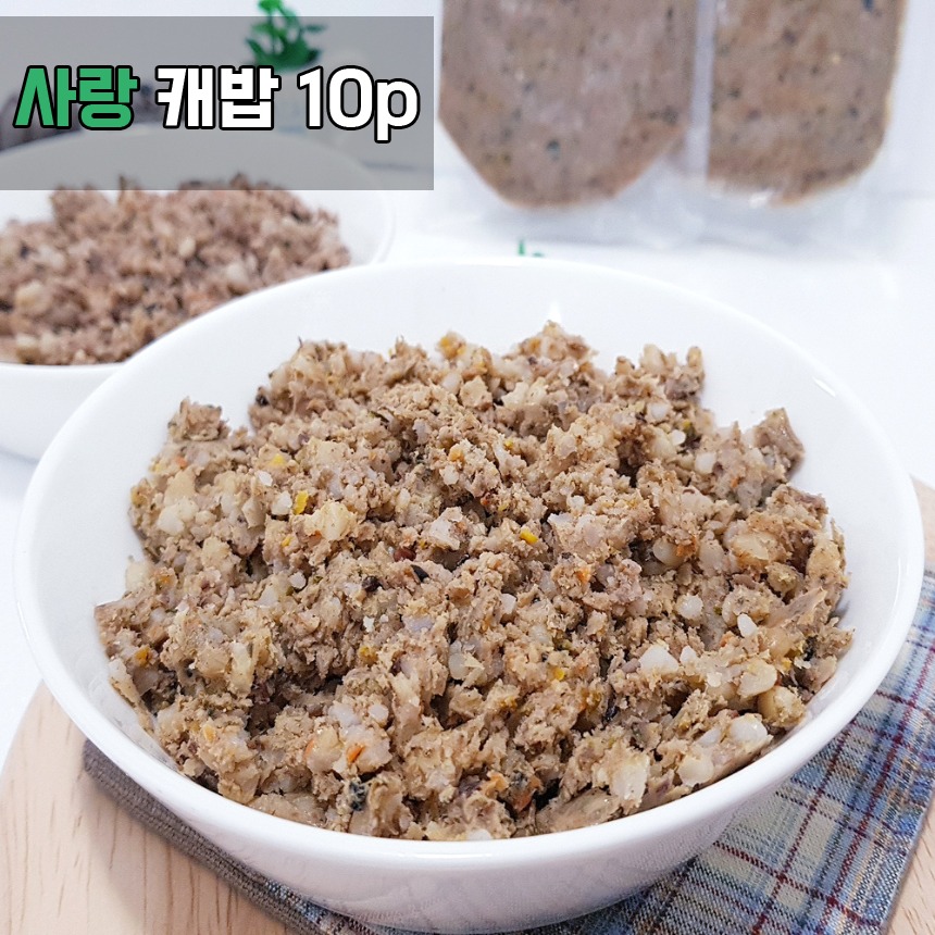 캠페인 썸네일
