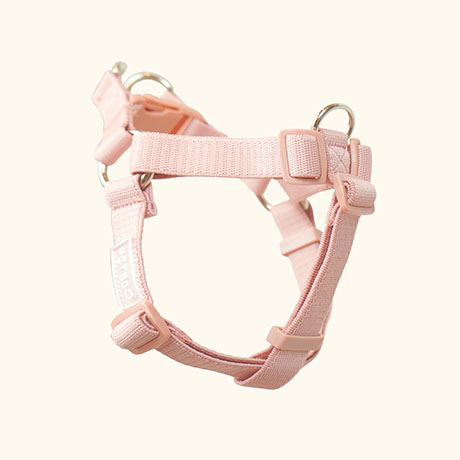 캠페인 썸네일
