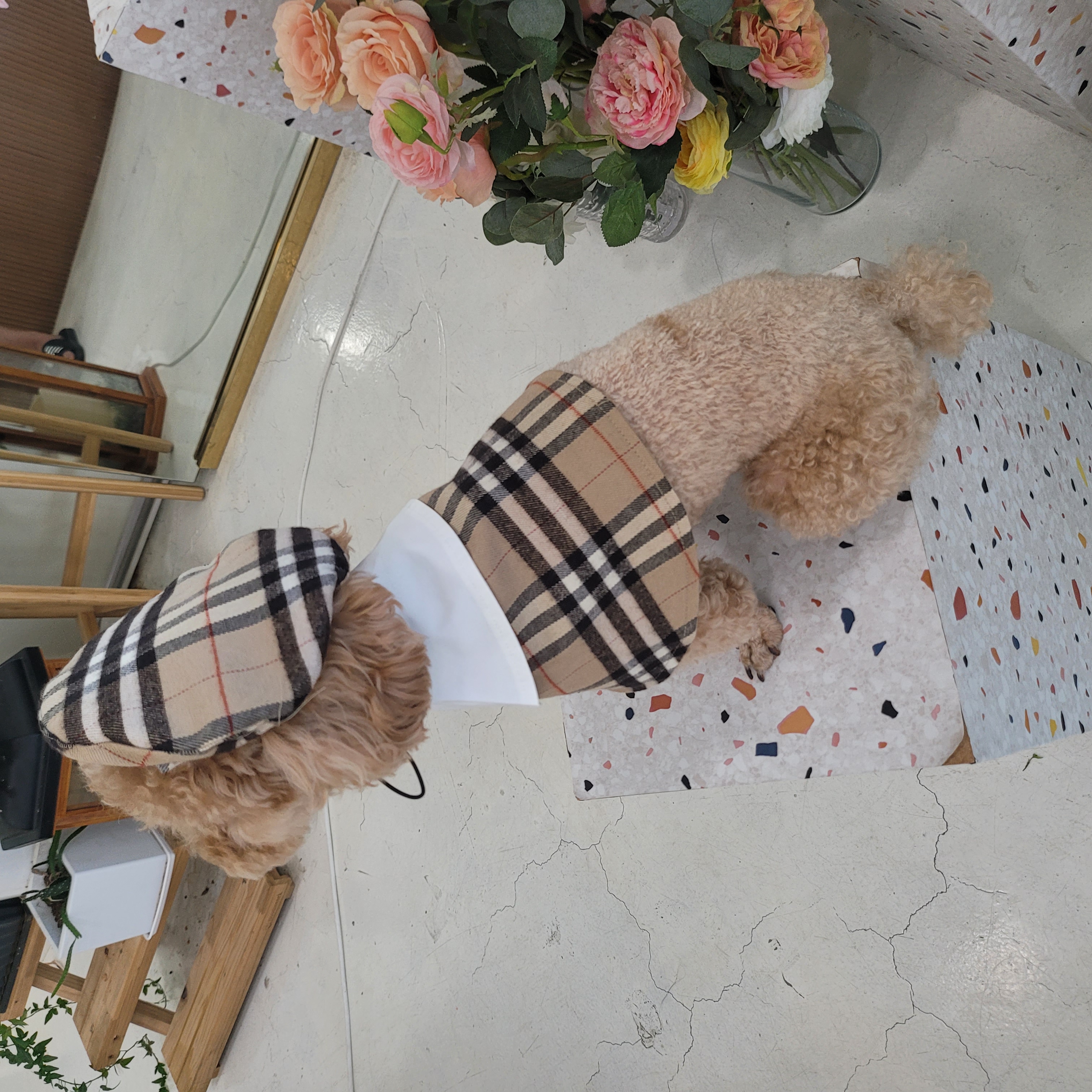 캠페인 썸네일