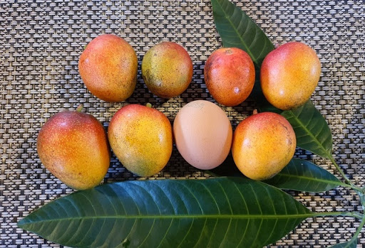 캠페인 썸네일