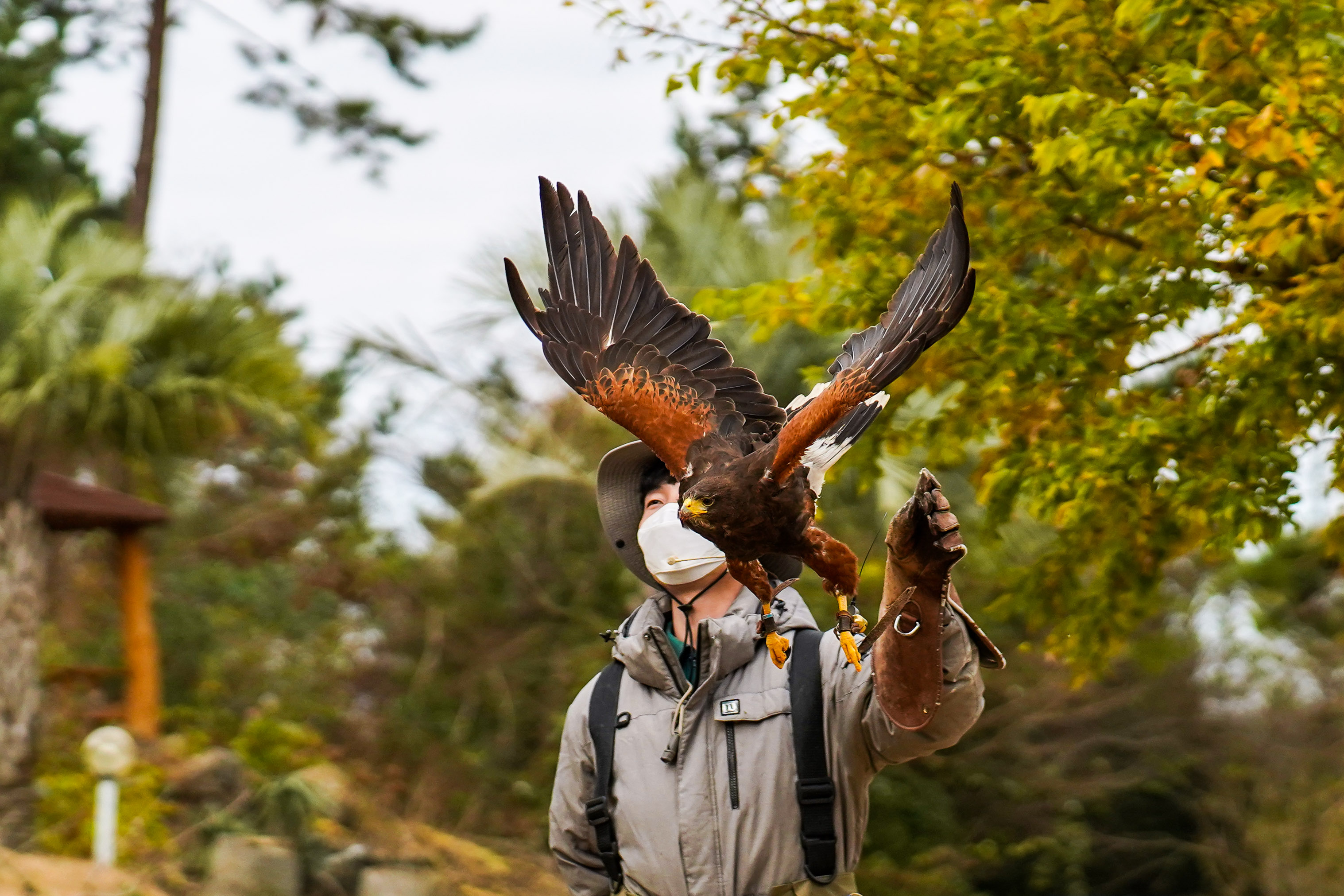 캠페인 썸네일