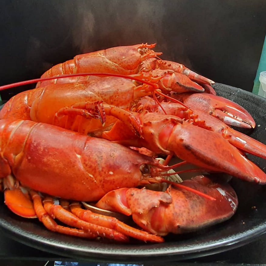 캠페인 썸네일