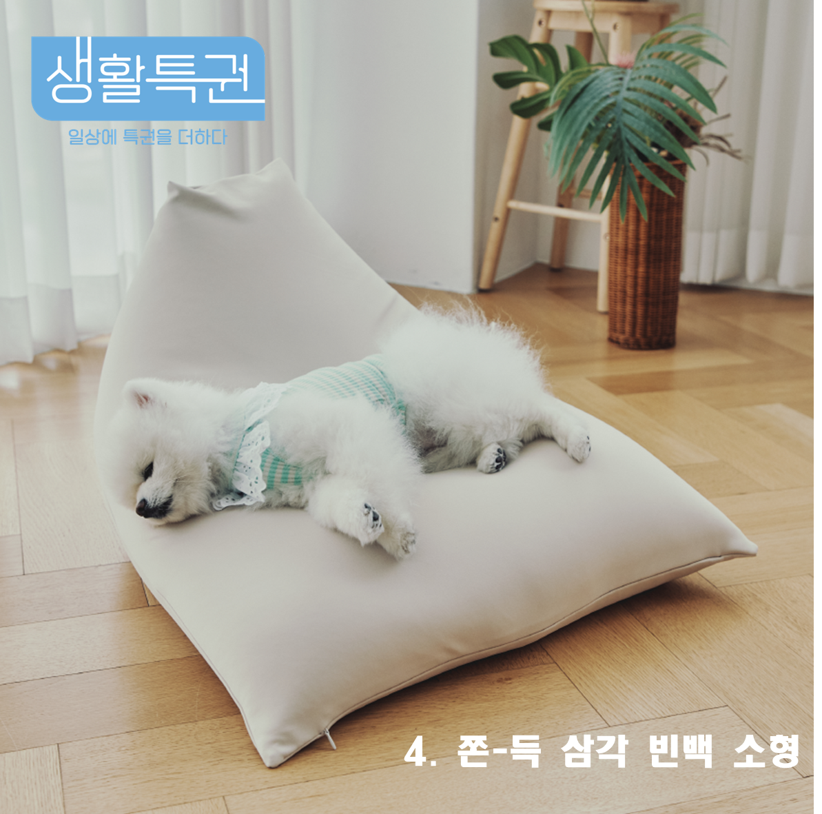 캠페인 썸네일