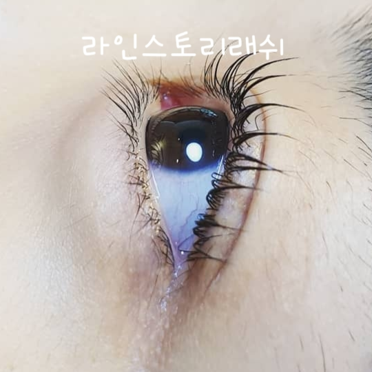 캠페인 썸네일