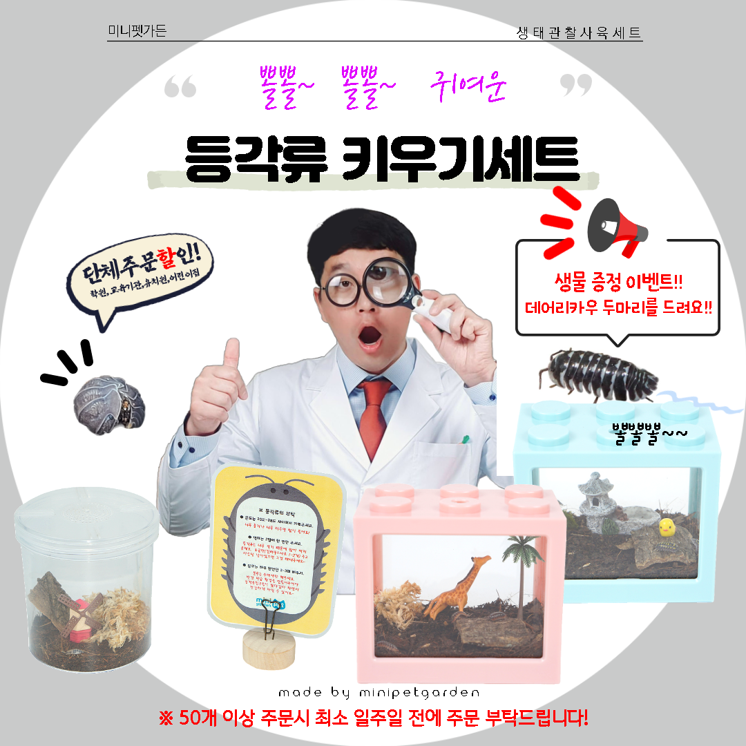 캠페인 썸네일