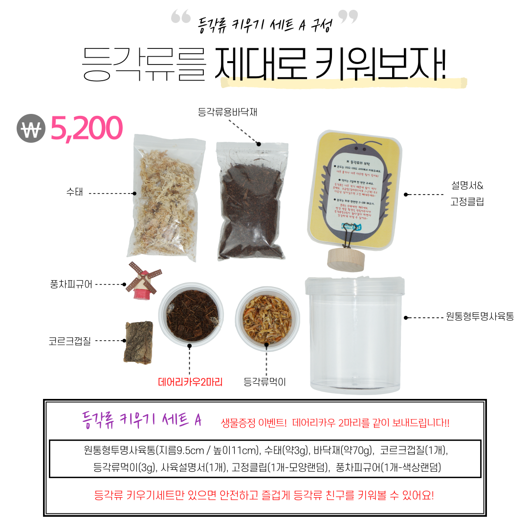 캠페인 썸네일