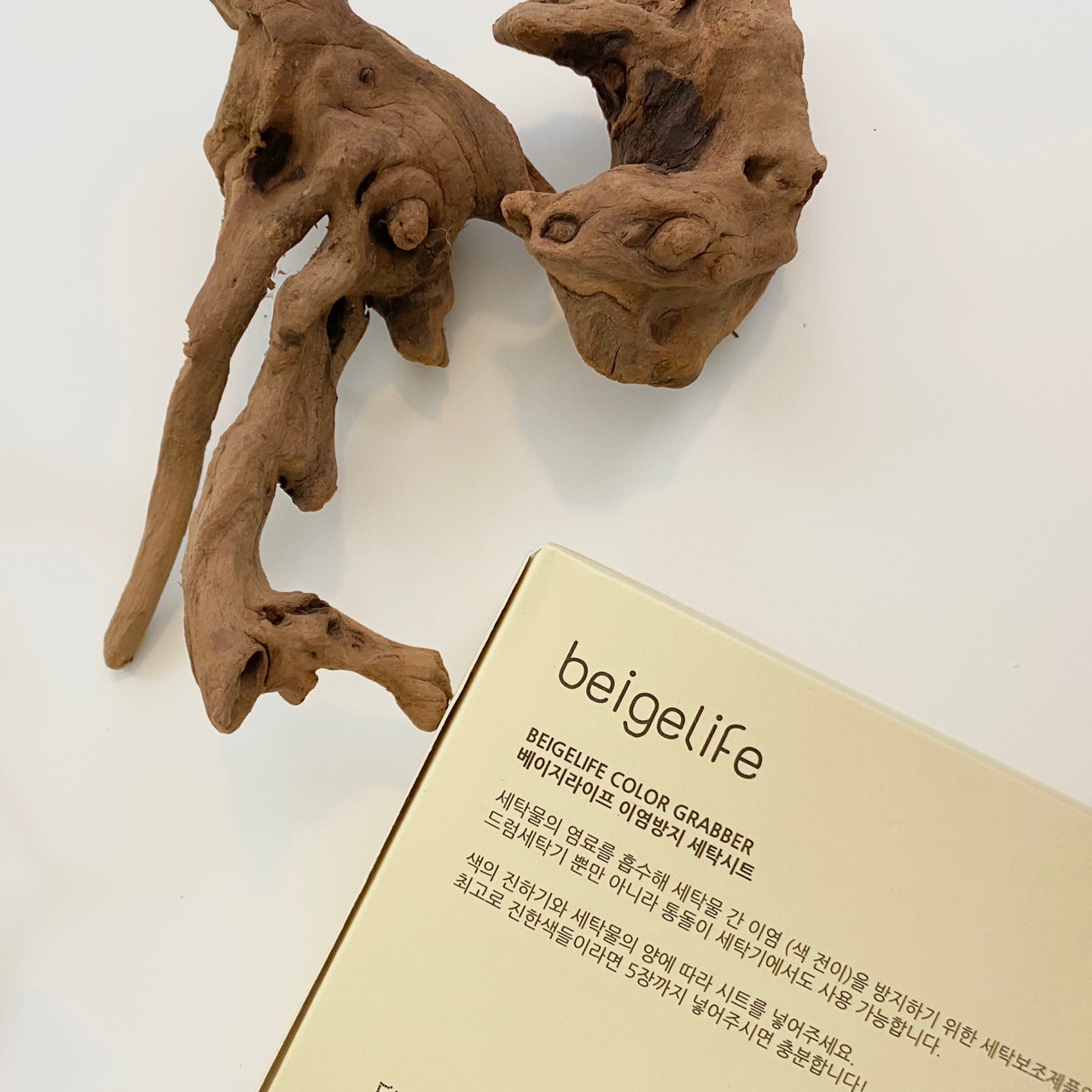 캠페인 썸네일