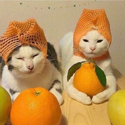 캠페인 썸네일