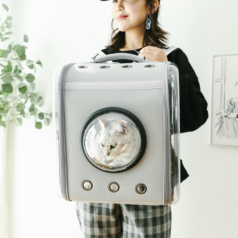 캠페인 썸네일