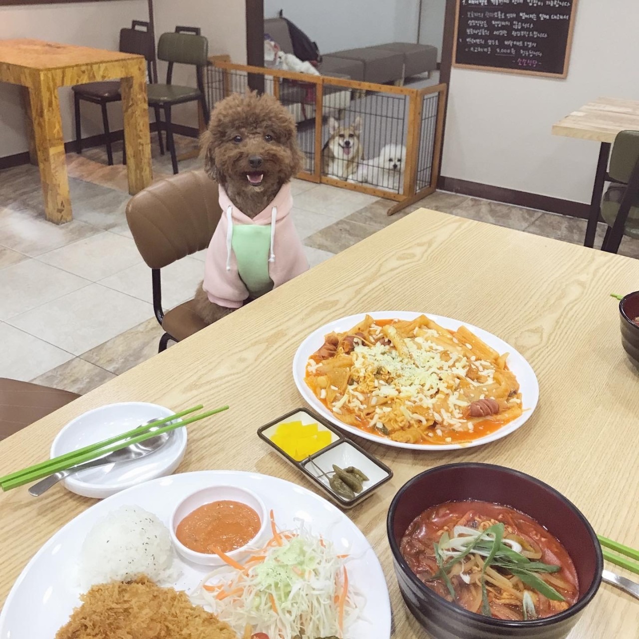 캠페인 썸네일
