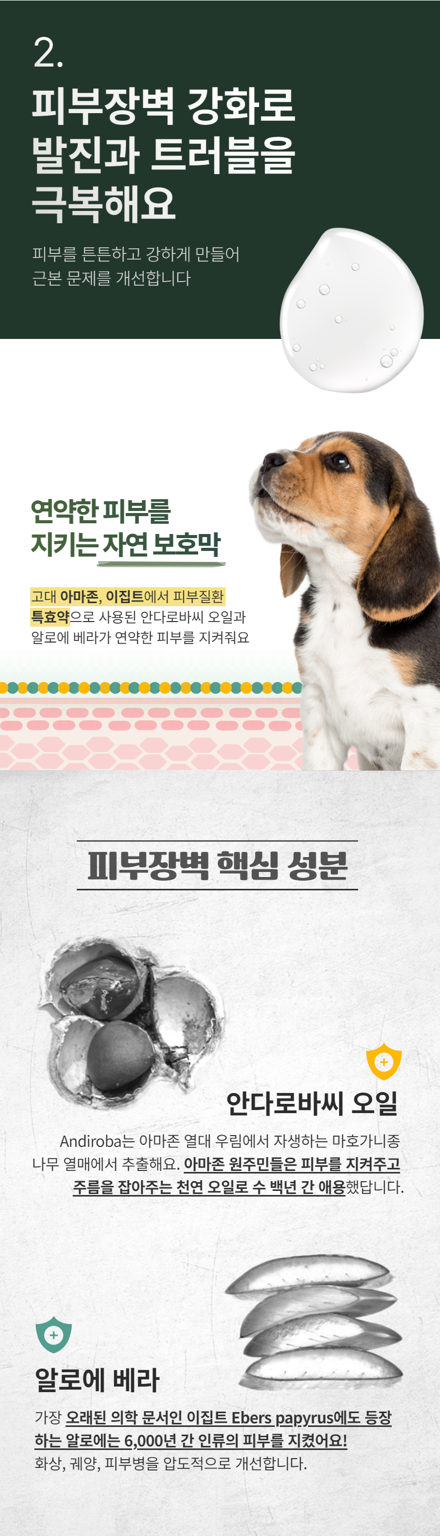캠페인 썸네일