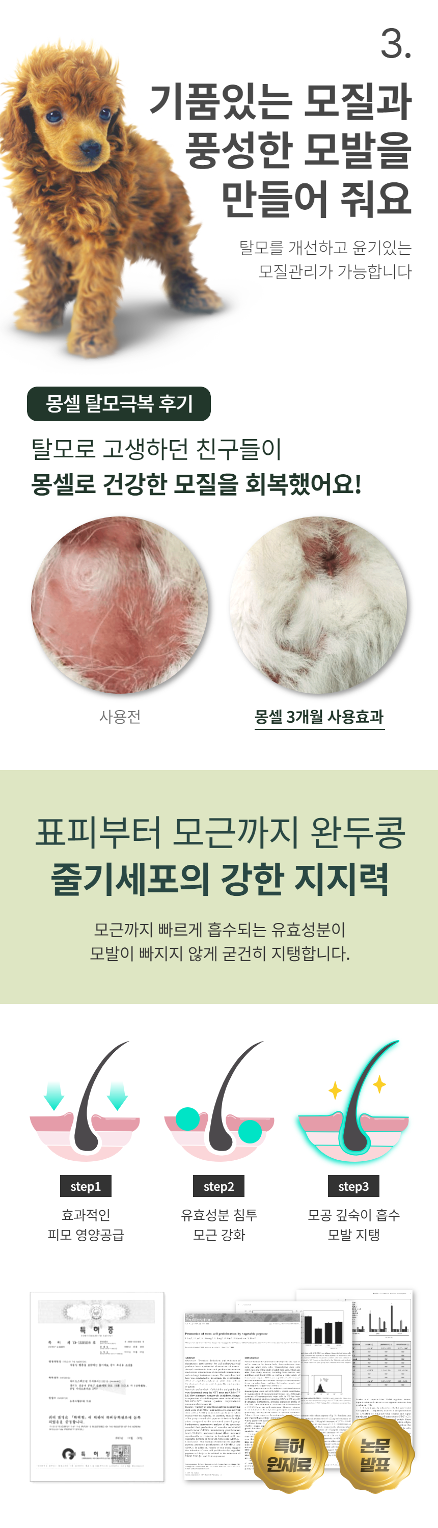 캠페인 썸네일