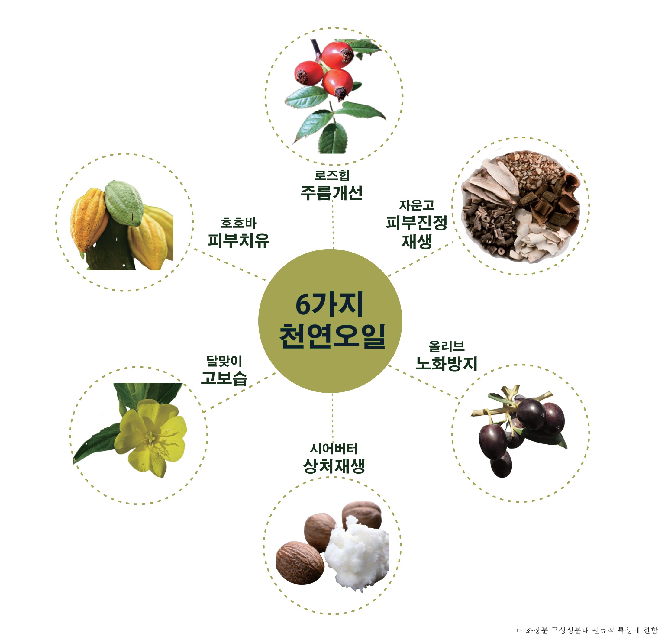 캠페인 썸네일