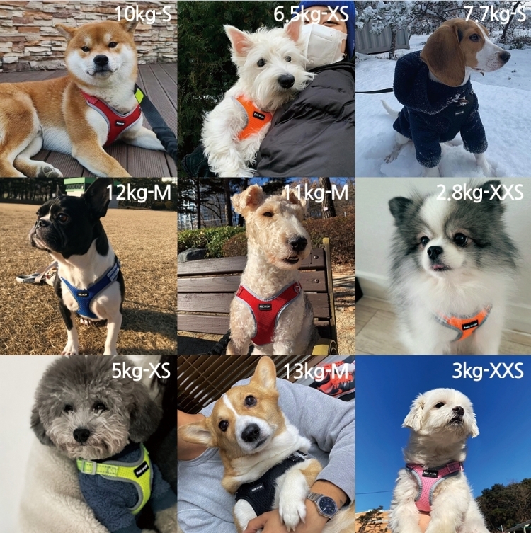 캠페인 썸네일