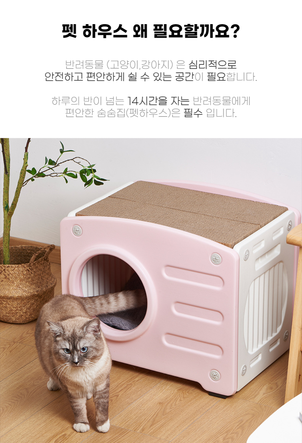 캠페인 썸네일