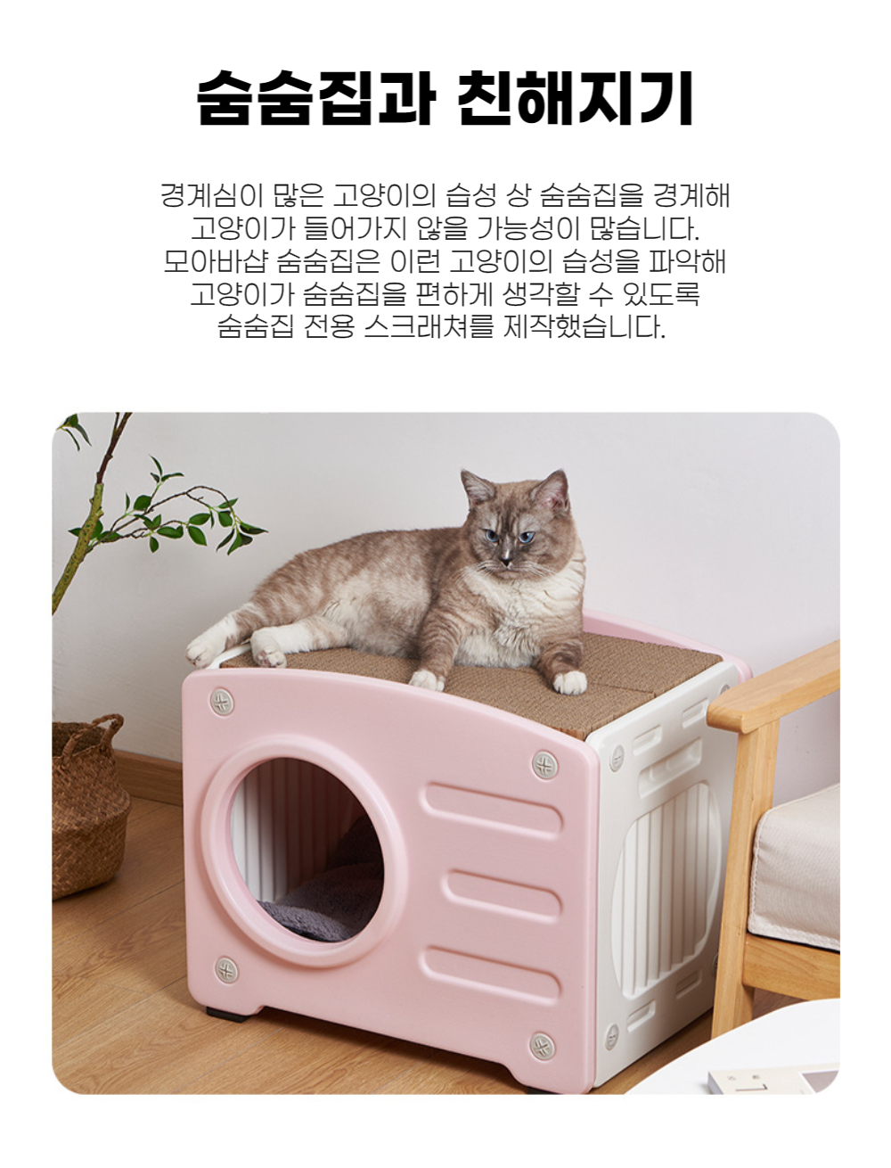 캠페인 썸네일