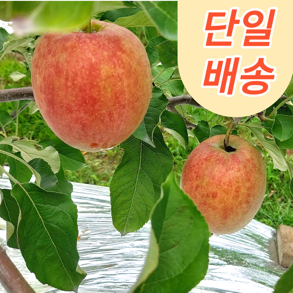 캠페인 썸네일