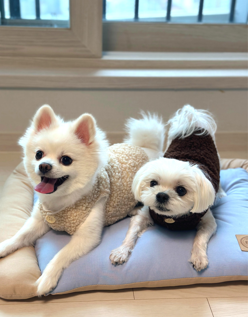 캠페인 썸네일