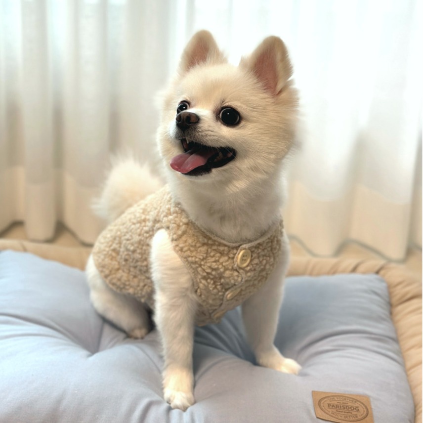 캠페인 썸네일