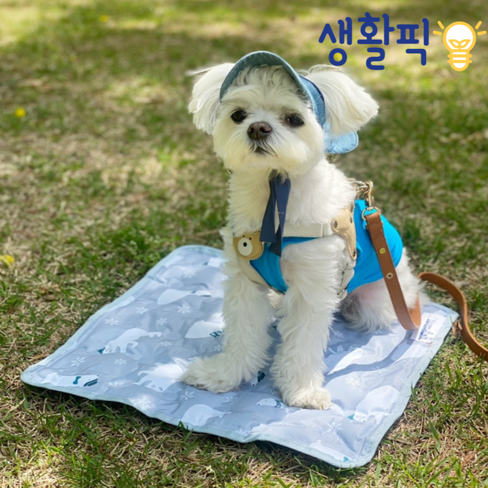 캠페인 썸네일