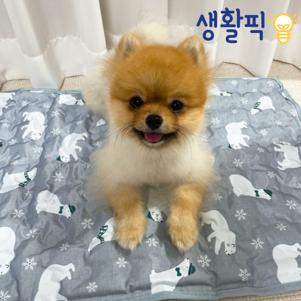 캠페인 썸네일